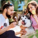 La ciencia del porqué a todo el mundo le gusta el helado